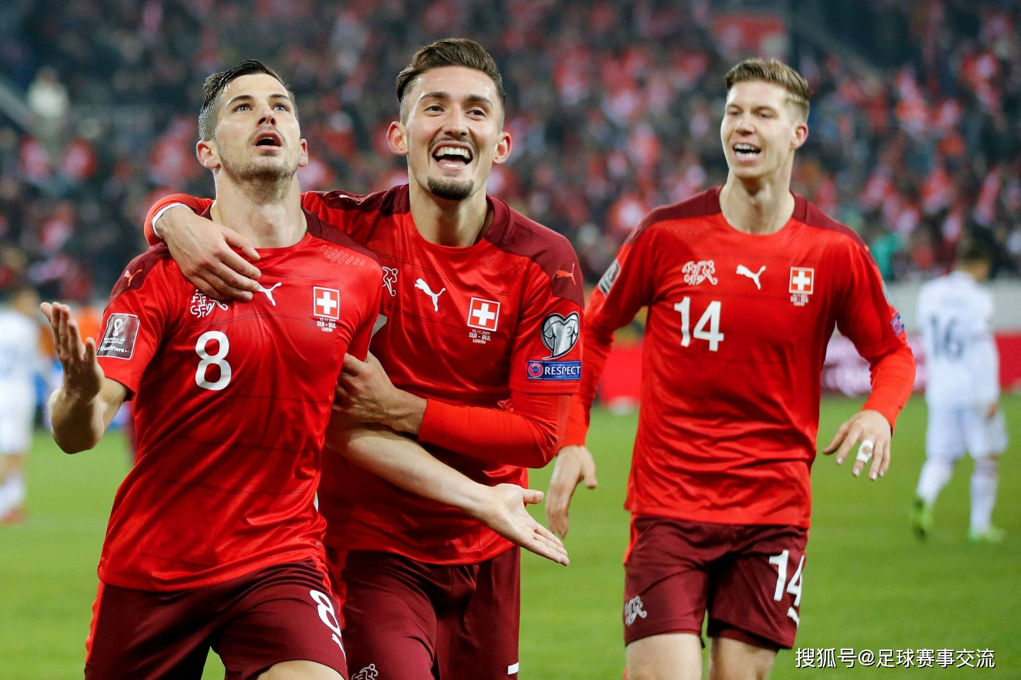 捷克队在比赛中战胜对手